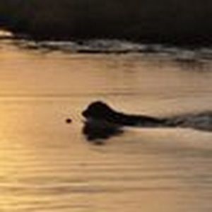 Meet your Posher, Kathryn